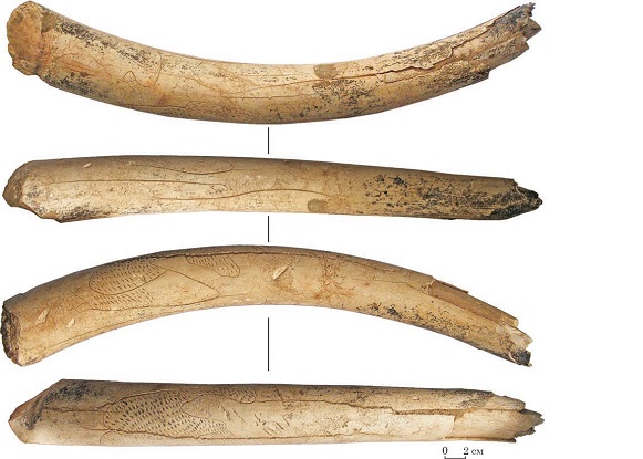 Image - Obolonnia archeological site: ornamented mammoth tusk (ca 20,000 years old).